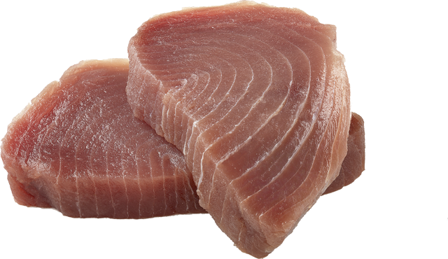 Frische Thunfischfilets 
