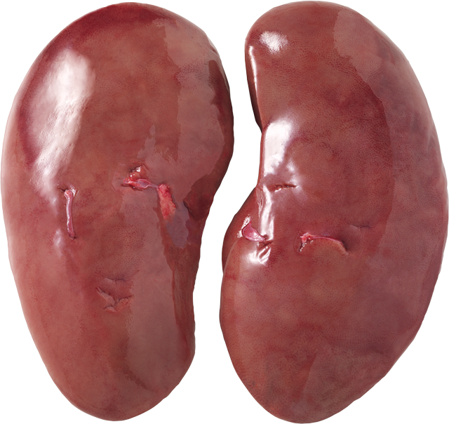 Frische Schweine-Leber, -Nieren oder -Herzen 