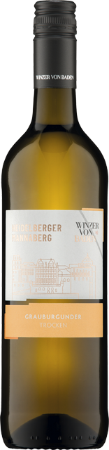 Winzer von Baden Heidelberger Mannaberg Grauburgunder trocken