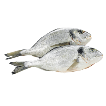 Dorade Royal