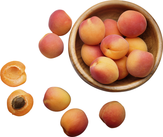 Aprikosen 