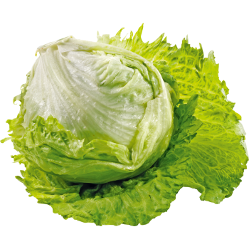 Spanien - Eisbergsalat