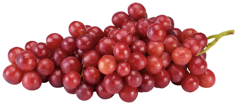 GUT&GÜNSTIG Tafeltrauben