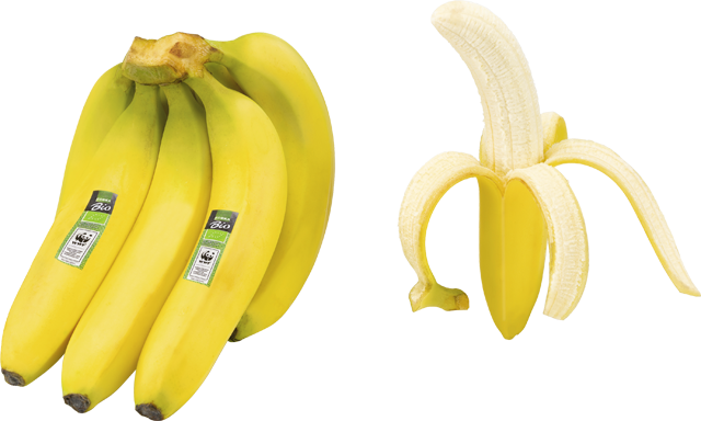 EDEKA Bio WWF Bananen