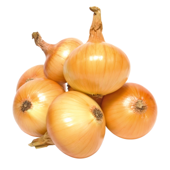 Deutschland - GUT & GÜNSTIG - Zwiebeln