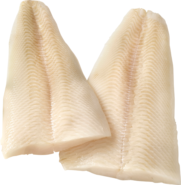 Ab Donnerstag erhältlich: MSC Schwarze Heilbuttfilets