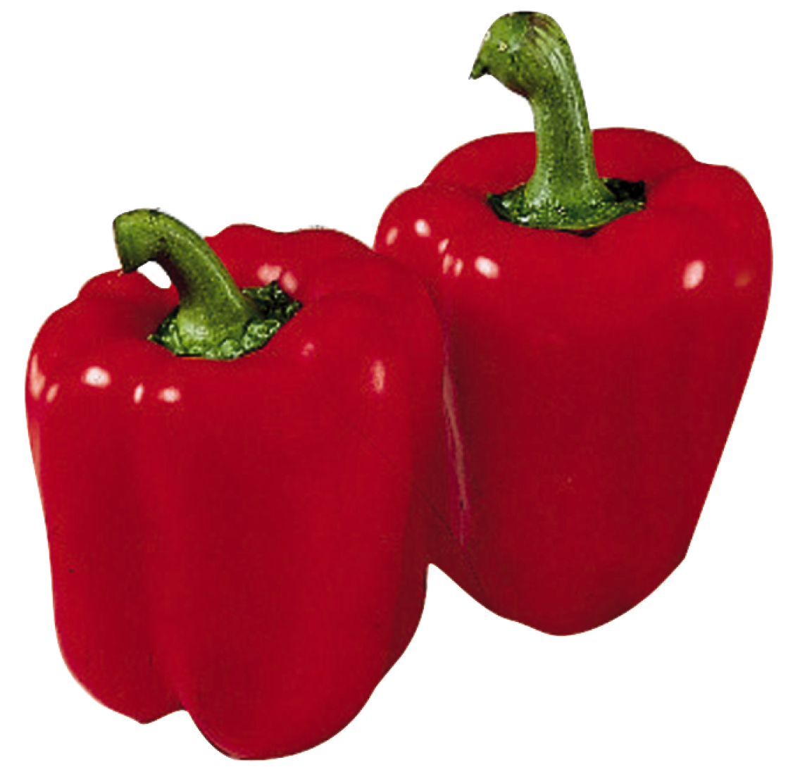 Paprika