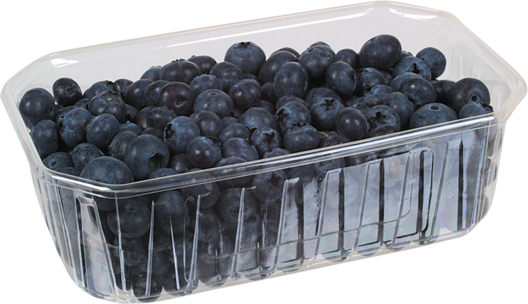 Peru Kulturheidelbeeren