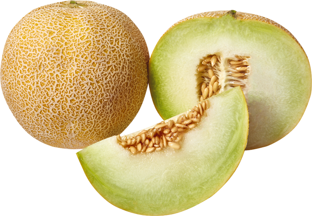 Galia Melonen