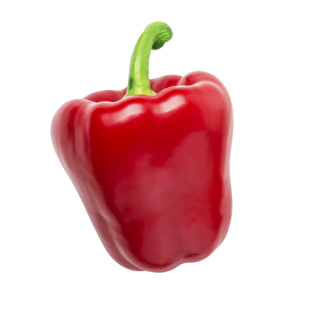 Gut & Günstig Paprika rot