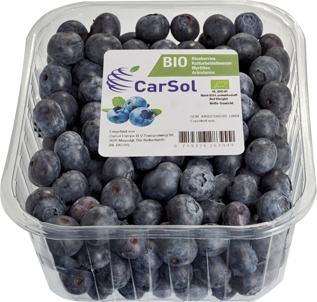 EDEKA Bio Heidelbeeren