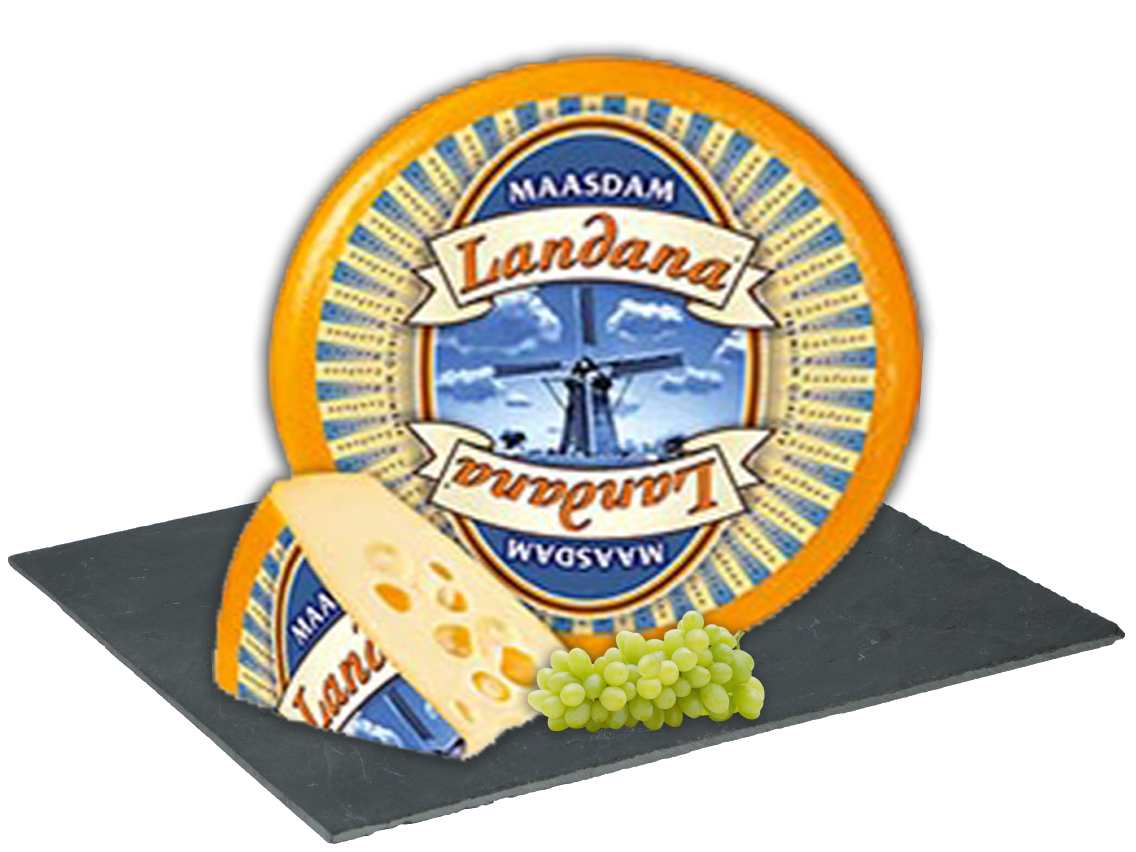 Landana Maasdammer