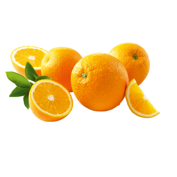 Spanien - Bio-Orangen