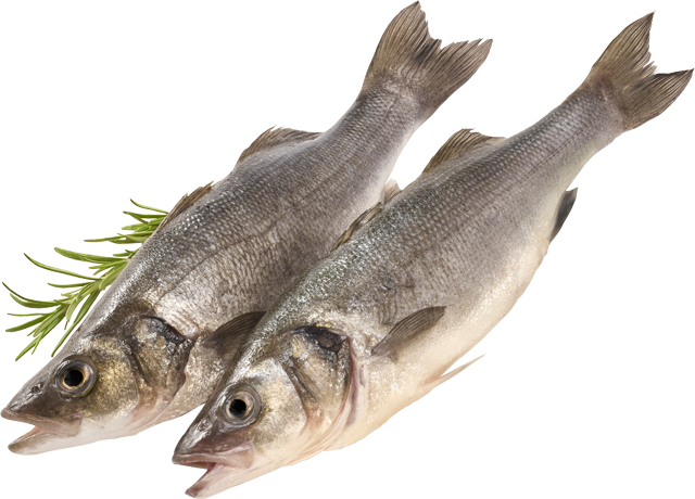 ¹Wolfsbarsch (Loup de Mer) 