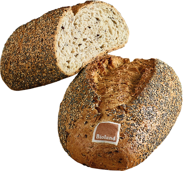 Bioland Mehrkornbrot