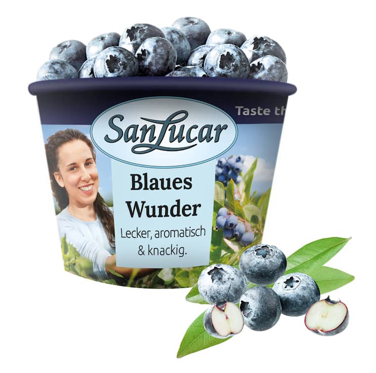 San Lucar Heidelbeeren