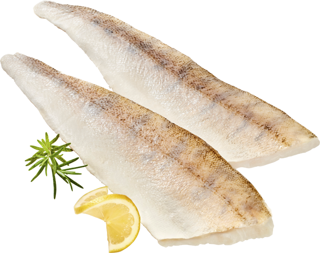 Zanderfilets