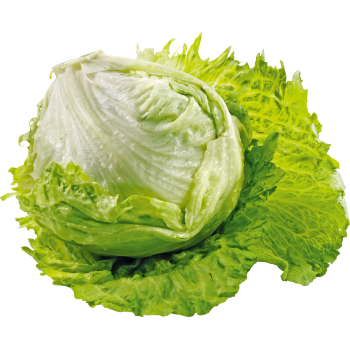 Spanien - Eisbergsalat