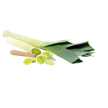 Deutschland - meinLand Bio - Bio-Porree