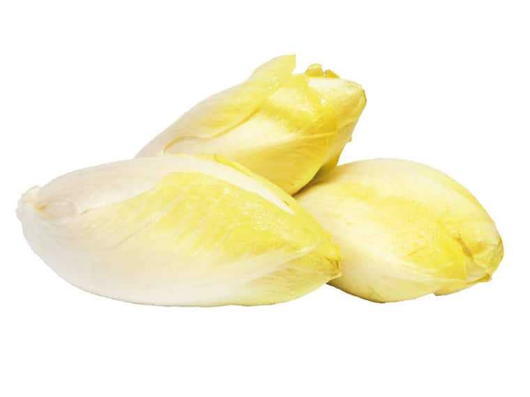 EDEKA Heimatliebe Sächsischer Chicoree