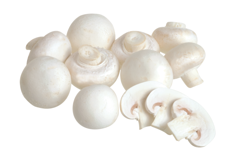 Champignons