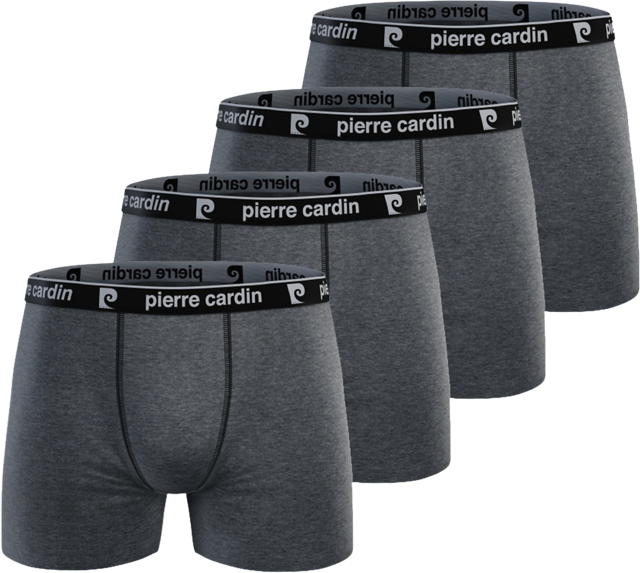 pierre cardin Herren Retroshorts