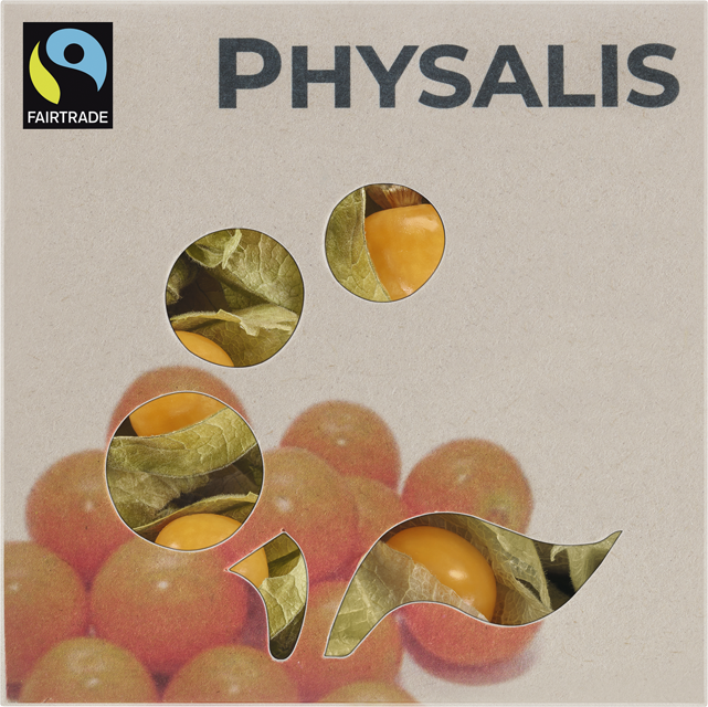 Physalis 