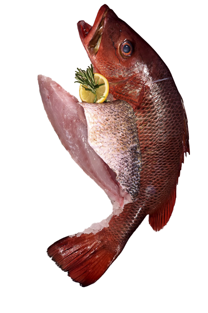Unser Wochenangebot: ¹Red Snapper Filets