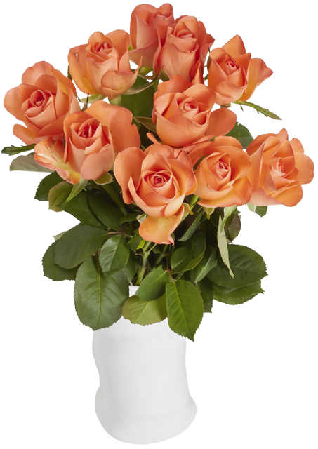*Lieblingsblume Edelrosenstrauß „Fairtrade“