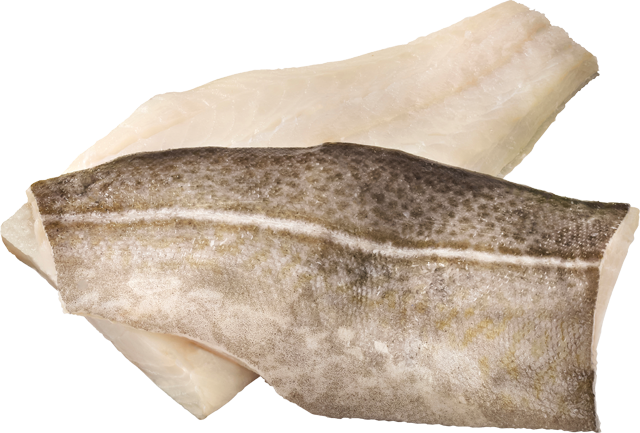 MSC Skrei-Filets 