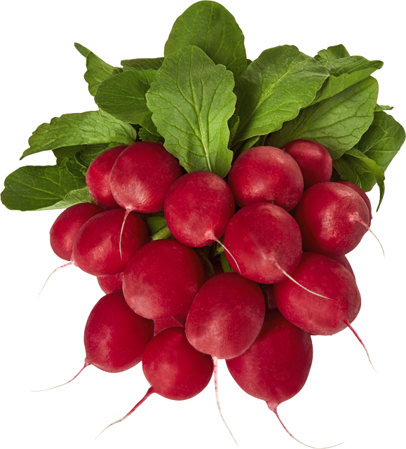 Unsere Heimat – echt & gut Radieschen