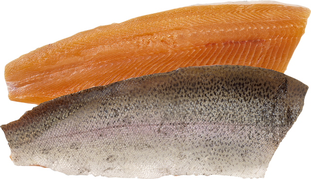 Forellenfilets rotfleischig