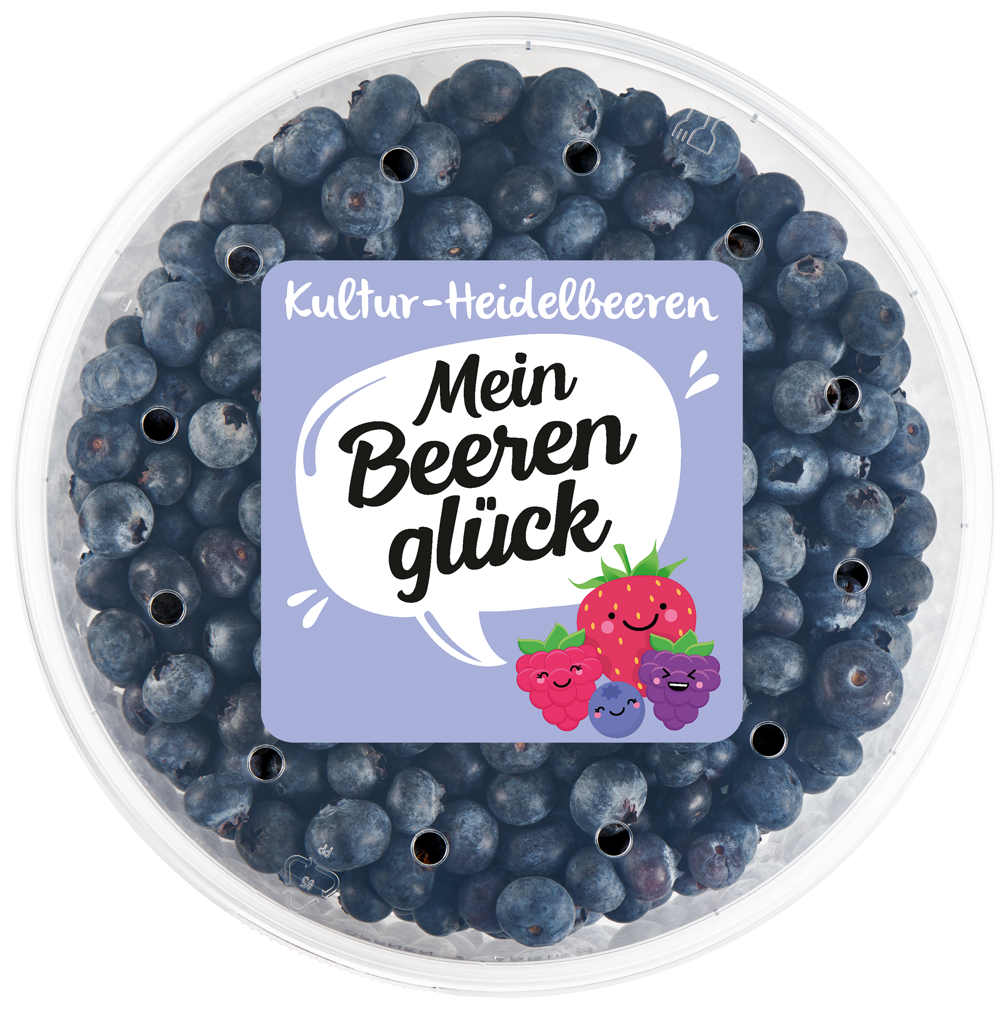 Mein Beerenglück Heidelbeeren