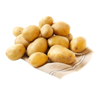 Deutschland - meinLand - Speisekartoffeln