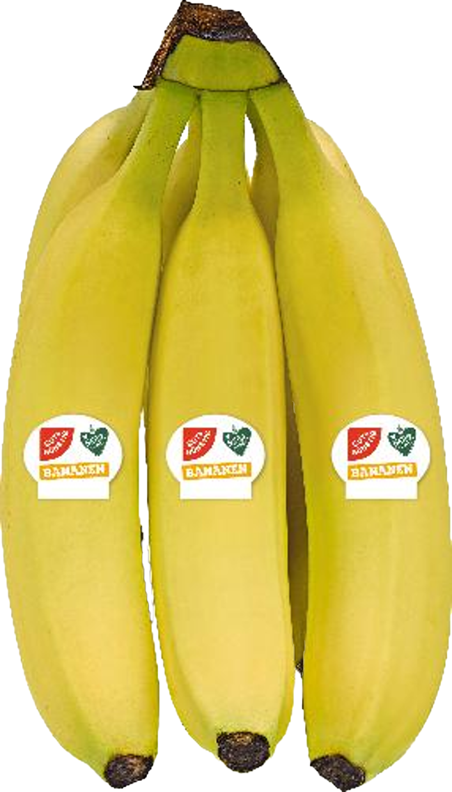 GUT&GÜNSTIG WWF Bananen