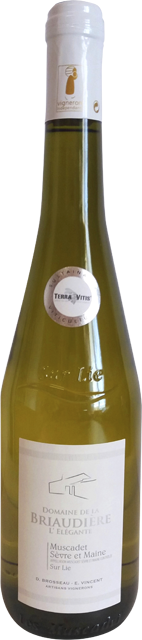 Loire Domaine de la Briaudière Muscadet Sèvre et Maine Sur Lie 
