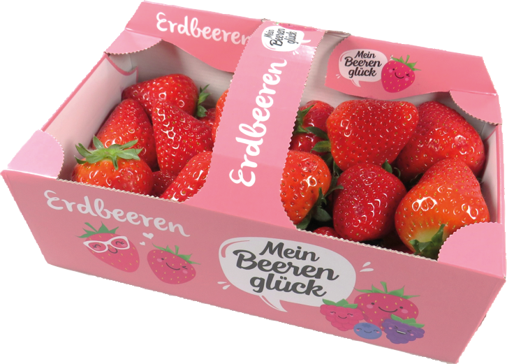 Erdbeeren