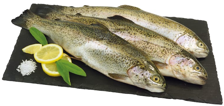 Frische Regenbogen-Forelle*