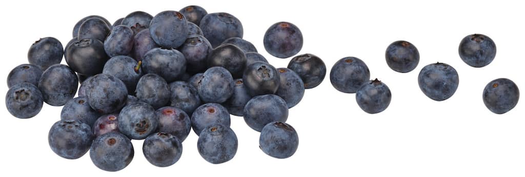 EDEKA Bio Heidelbeeren