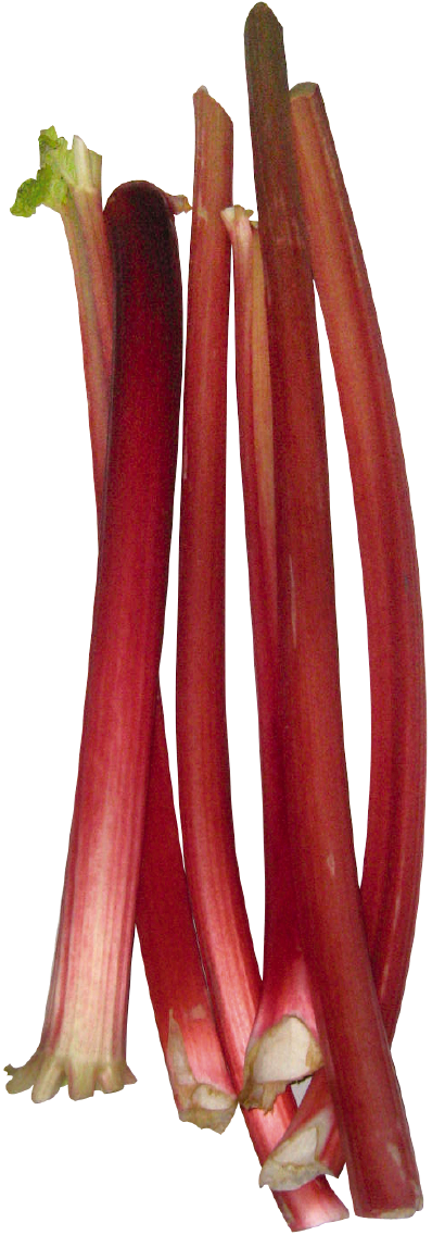 Rhabarber