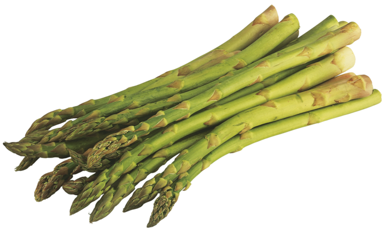 Spargel