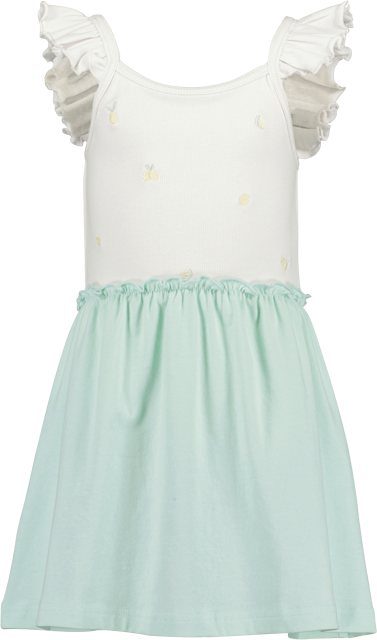 Mädchen Kleid mit Tüllrock