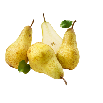 Südafrika - Tafelbirnen