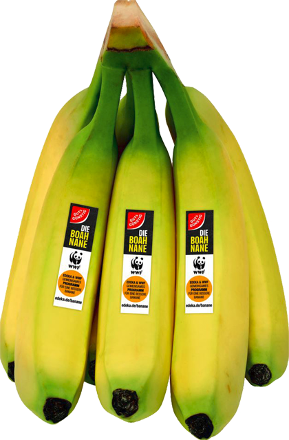 Freitag & Samstag: Gut & Günstig Bananen