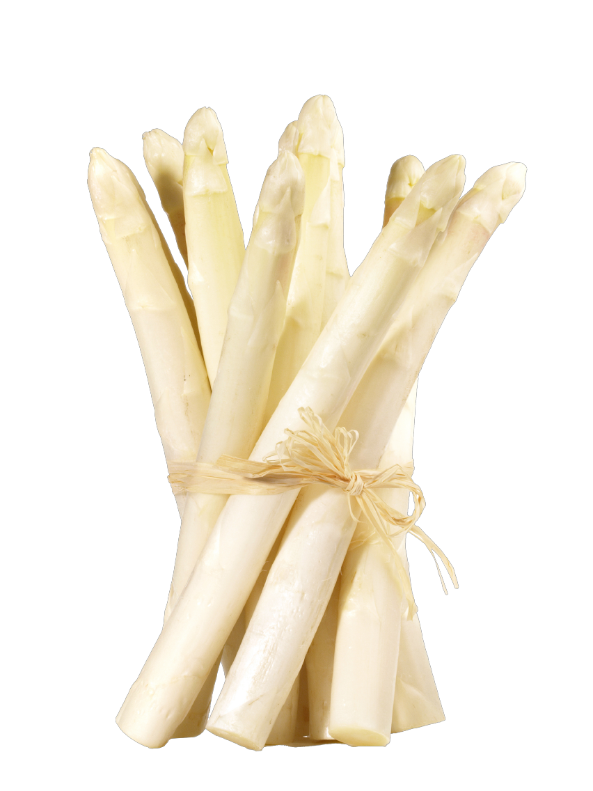 Bio Spargel weiß / violett aus Griechenland