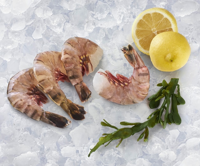 Ab Dienstag erhältlich: ²Seawater Black Tiger Gambas 