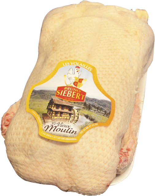 Bruno Siebert Französische Flugente 