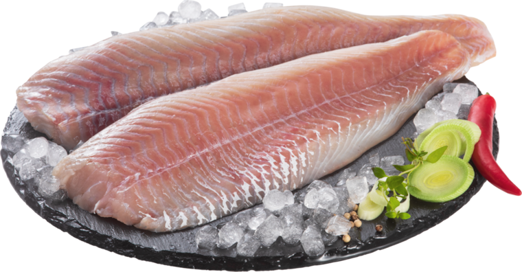 Frisches Seelachsfilet