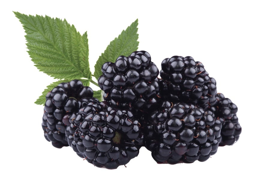 Brombeeren
