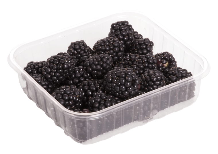 Brombeeren